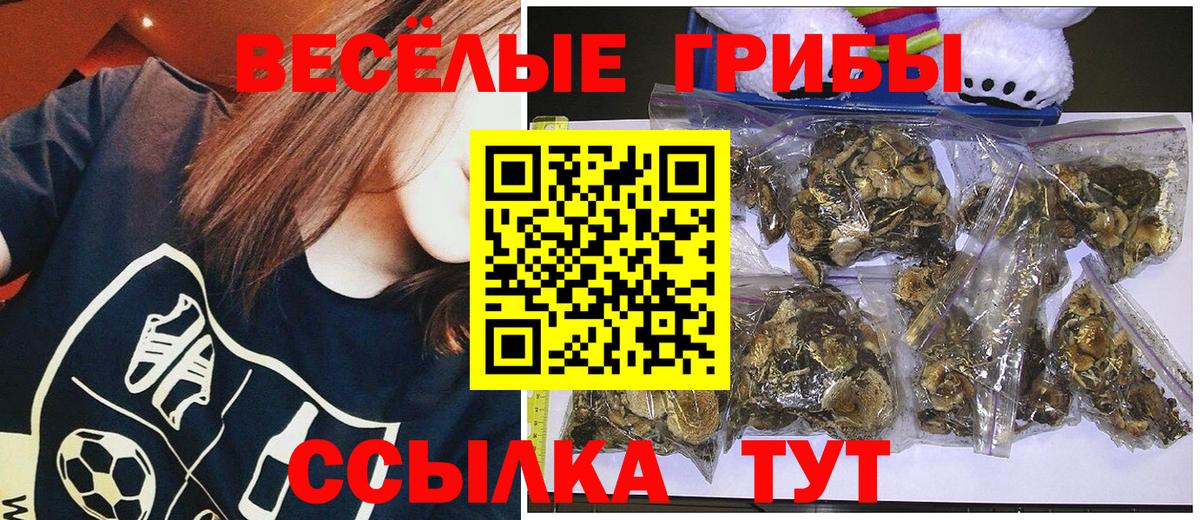 Галлюциногенные грибы мицелий Калач-на-Дону